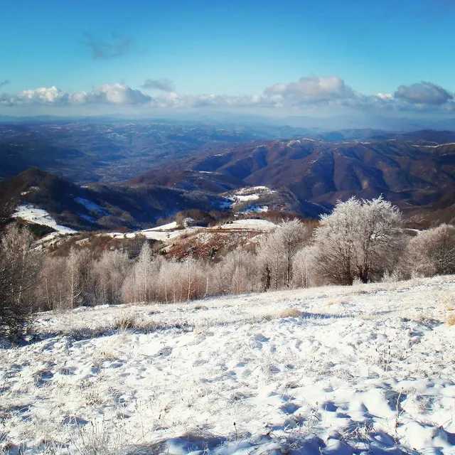 Parcela 286/2, Fotografije terena 2