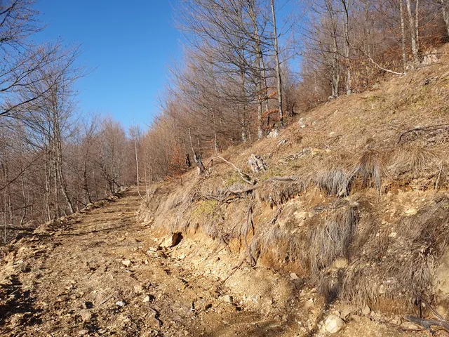 Parcela 286/10, Fotografije terena 4