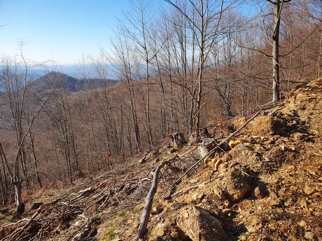 Parcela 286/12, Fotografije terena 4