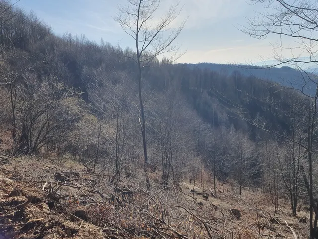 Parcela 286/9, Fotografije terena 3