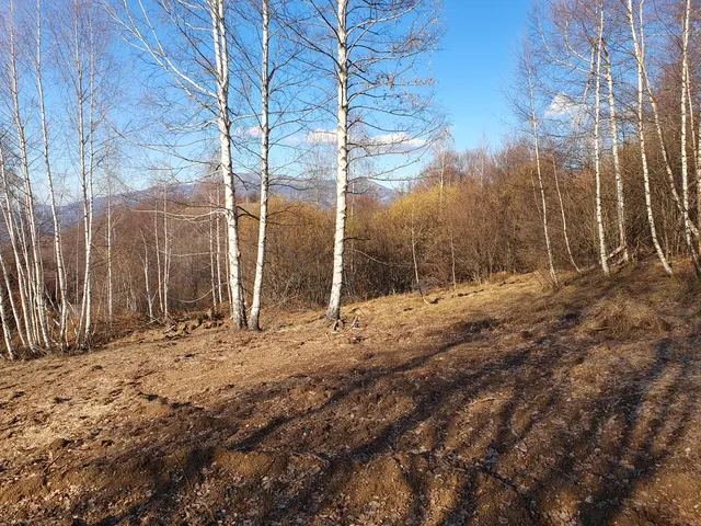 Parcela 355, Fotografije terena 2
