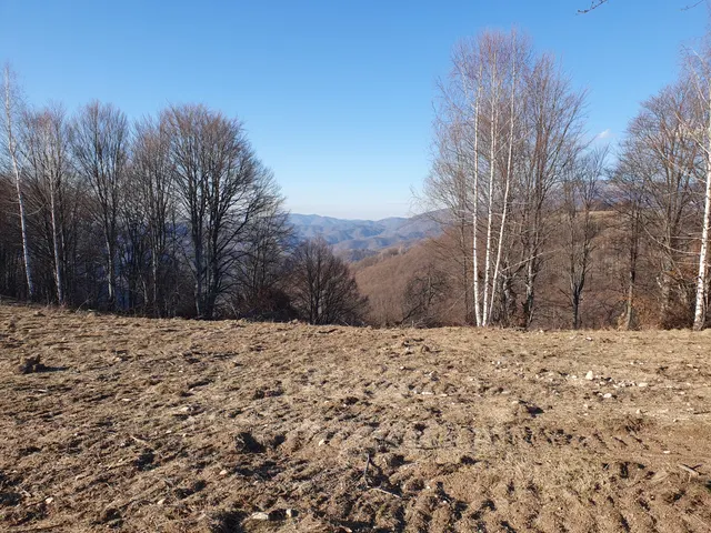 Parcela 359, Fotografije terena 3