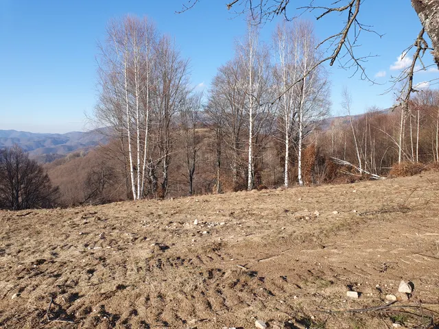 Parcela 359, Fotografije terena 4