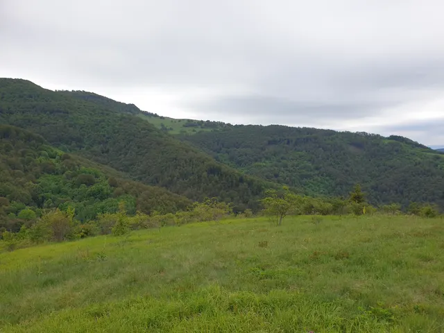 Parcela 360, Fotografije terena 1