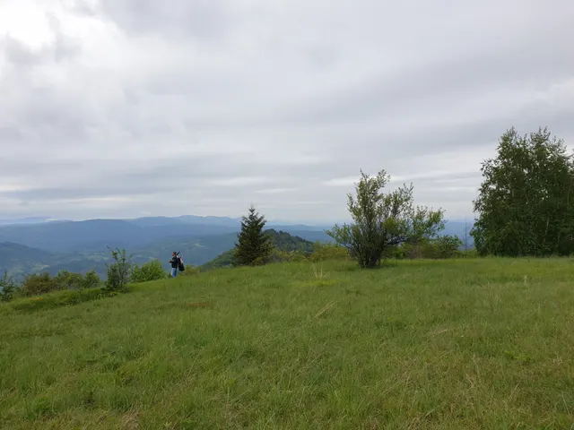 Parcela 360, Fotografije terena 3