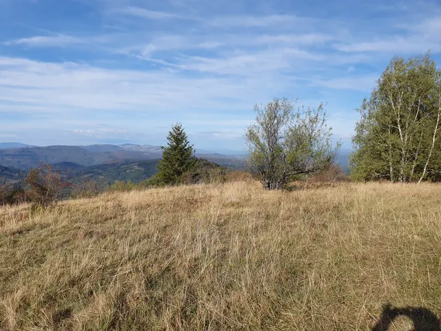 Parcela 360, Fotografije terena 4