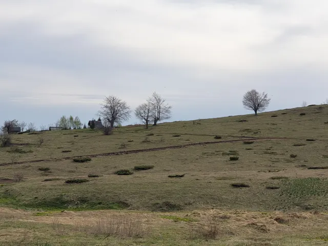 Plot 3963, Site photos 2