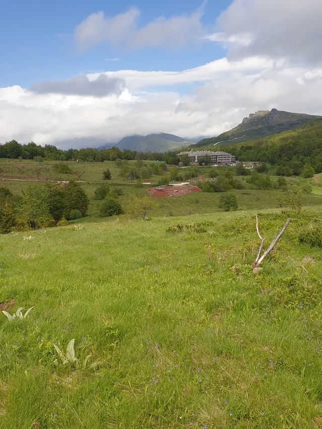 Plot 3965/1, Site photos 6