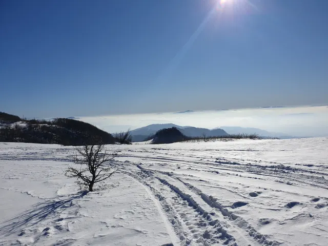 Parcela 3961, Fotografije terena 4