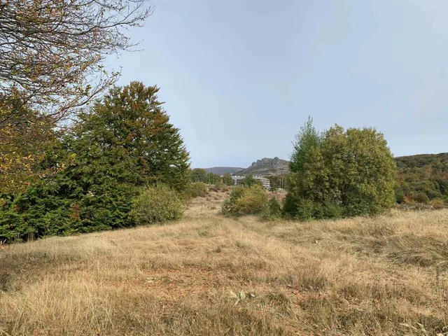 Parcela 3958/4, Fotografije terena 3