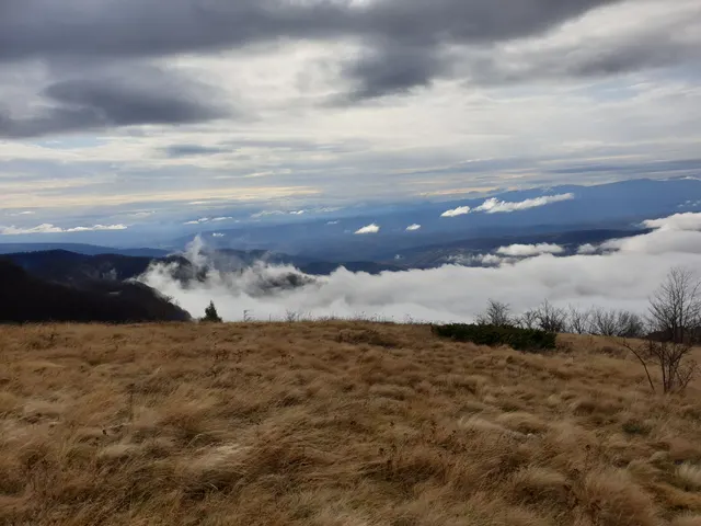 Parcela 3958/4, Fotografije terena 7